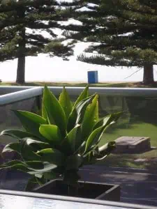 Relax on the Esplanade