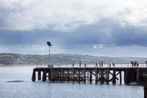 Whale watching Port Lincoln