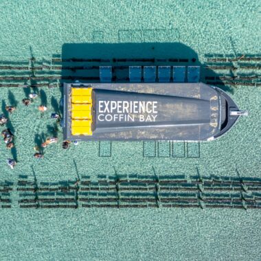 Aerial view of tour boat amongst oyster racks with people in water surrounded by crystal blue water.