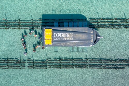 Aerial view of tour boat amongst oyster racks with people in water surrounded by crystal blue water.